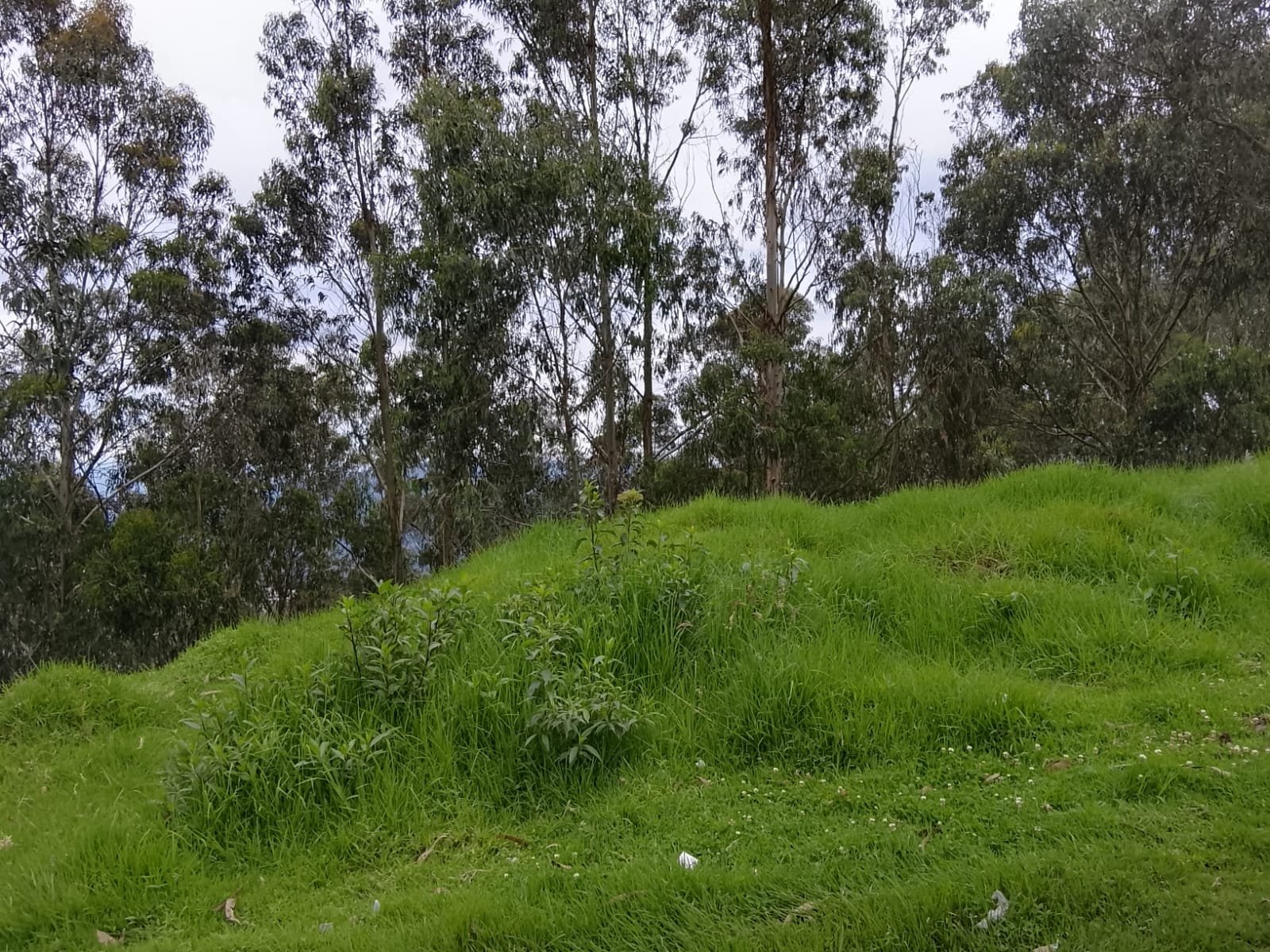 TERRENO DE VENTA